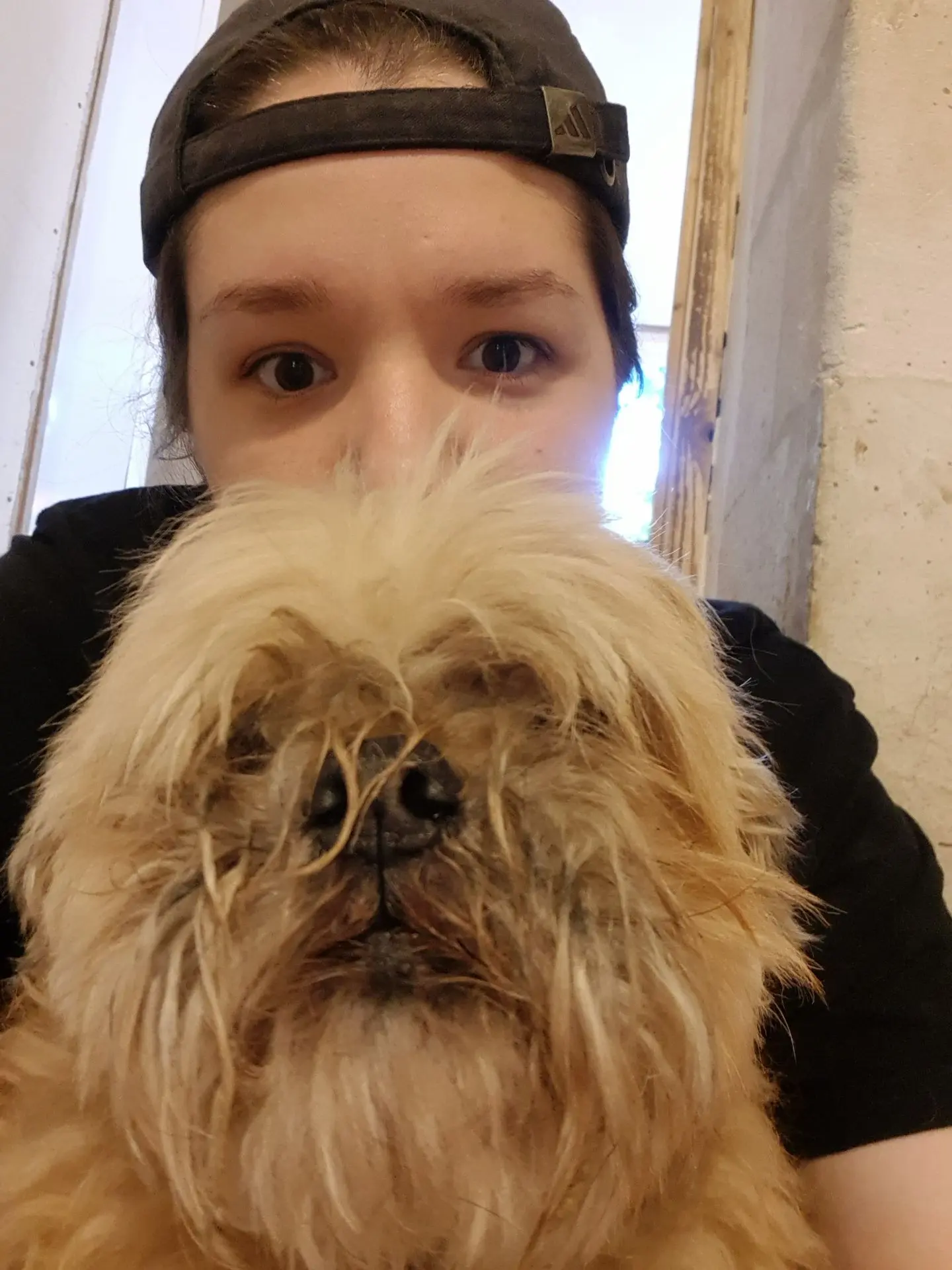 BAMSE