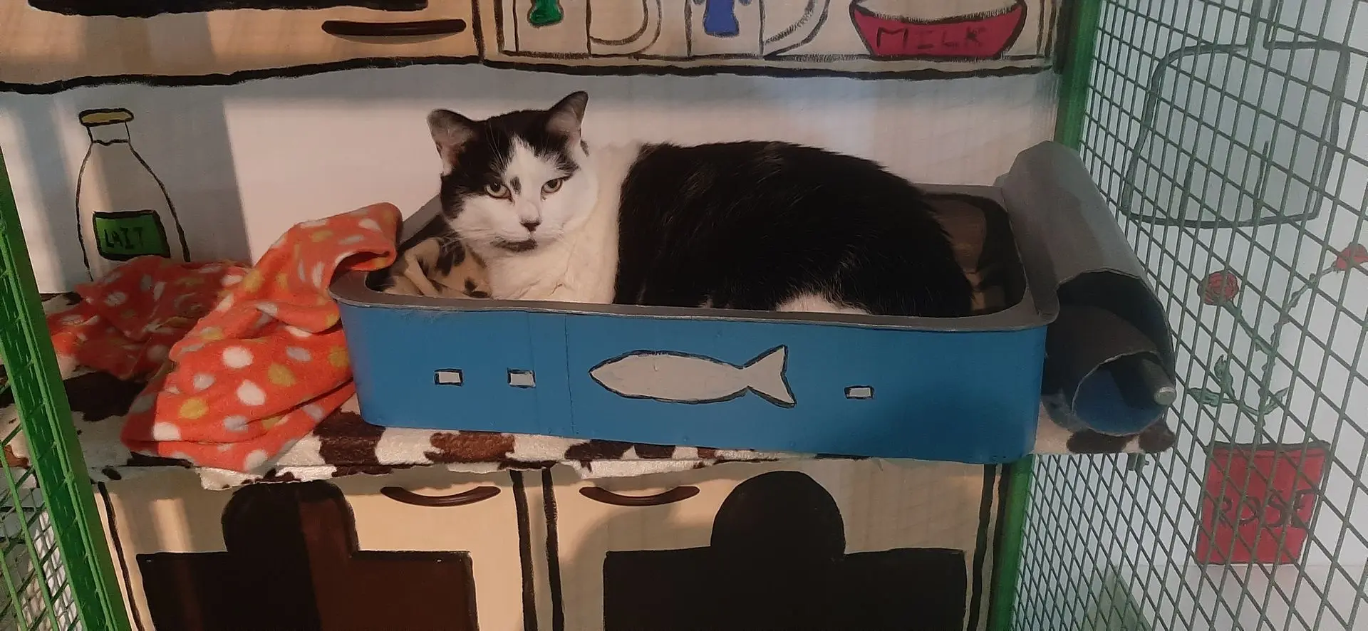 LILOU
