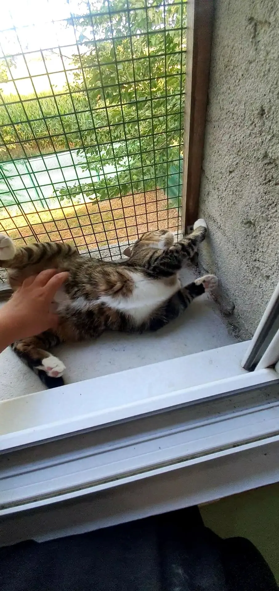 POUPETTE