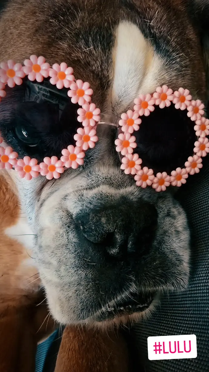LULU