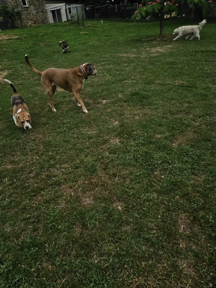 PIANA NAIA LULU OIKA