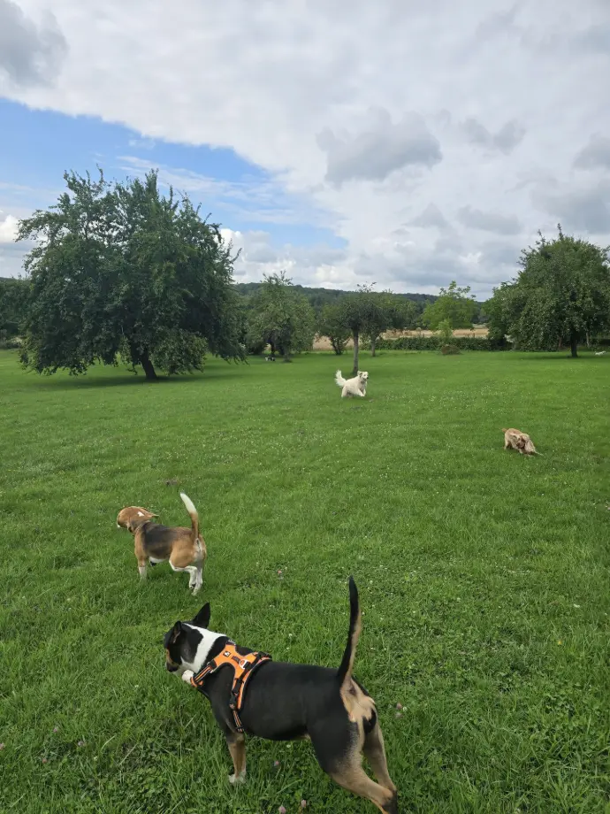 TOMY SUNNY SWEETIE OIKA