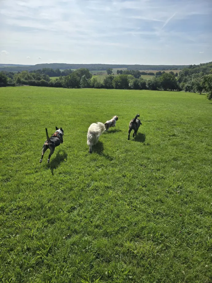 OIKA SUNNY PERCY LUCKY