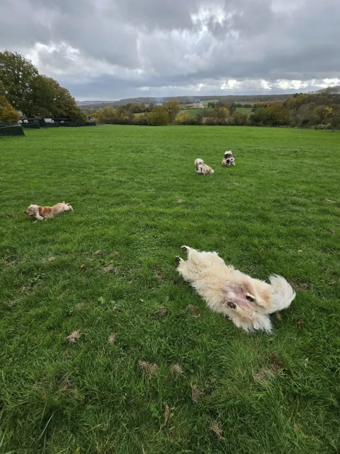 MAX SWEETIE NDJIE HUNTER ASPEN