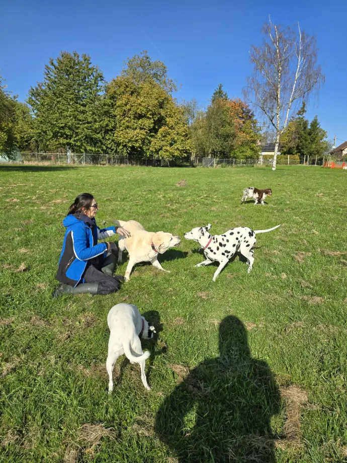 PIXIE ROMY IVOIRE ROCKETTE