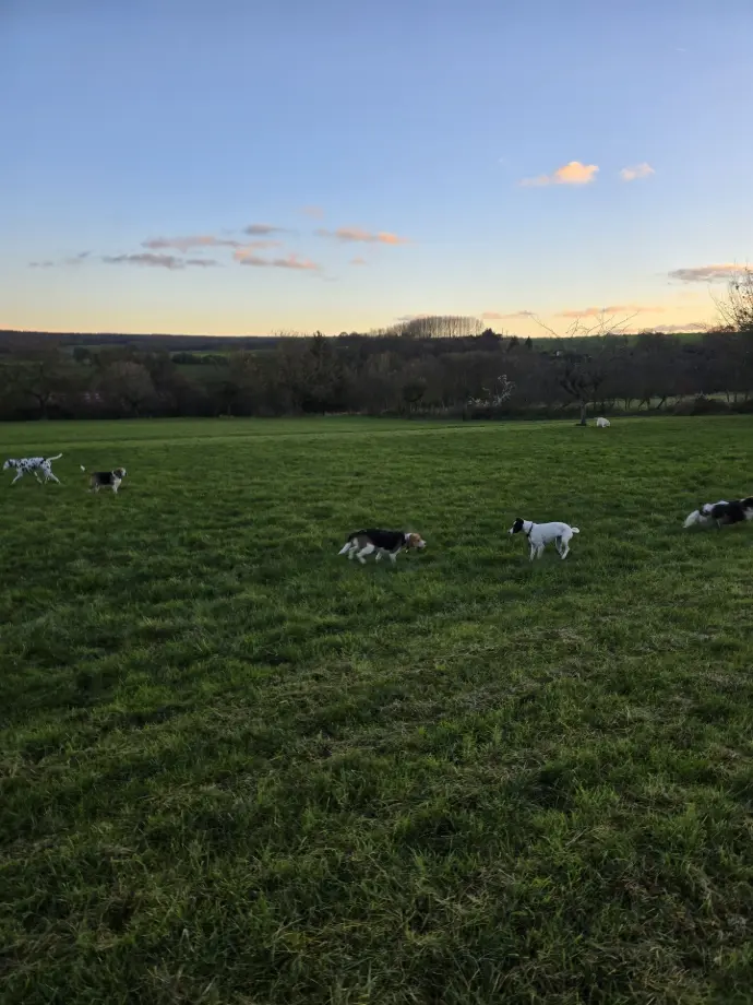 NASH FASTOCH UBBIE PIXIE ROMY ROCKETTE IVOIRE