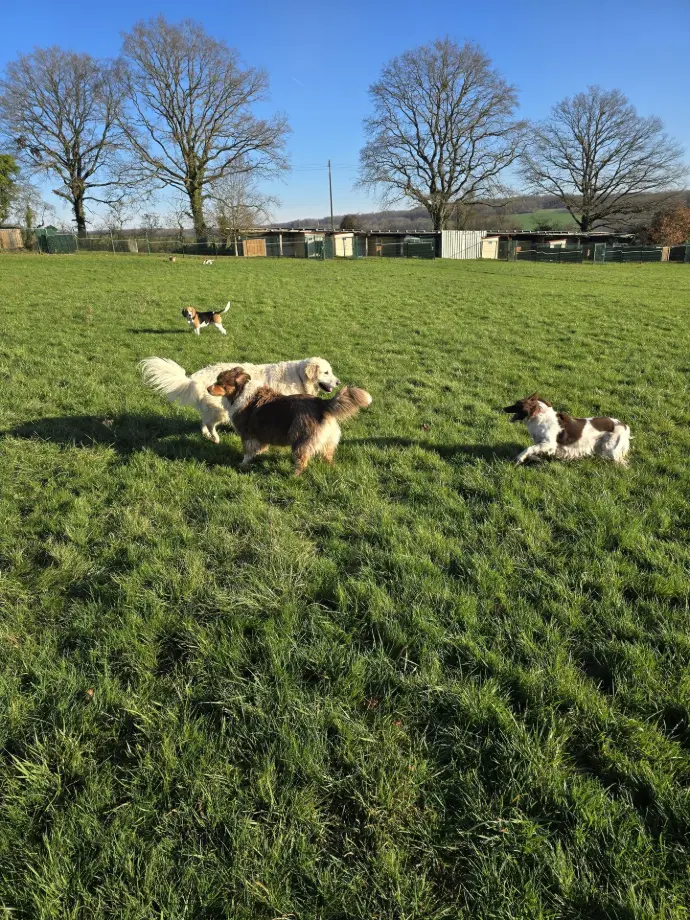 UBBIE ROCKETTE OSTRALE POP LILA 